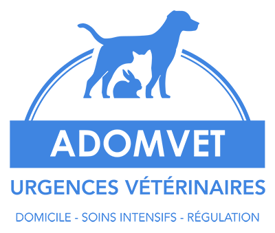 AdomVET : Urgences Vétérinaires, Soins Intensifs et Régulation
