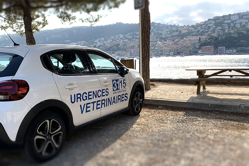 Ouverture de nos urgences vétérinaires sur Toulon